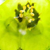 后台零占用的ddos在线攻击工具